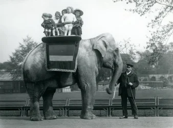 Un éléphant indien, avec son gardien, emmenant de petits enfants pour une promenade au zoo de Londres, vers 1913